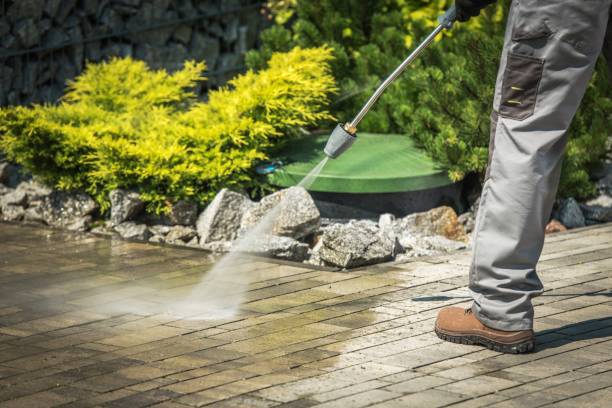Reliable Kingsbury, NV  Pressure Washing Services Solutions